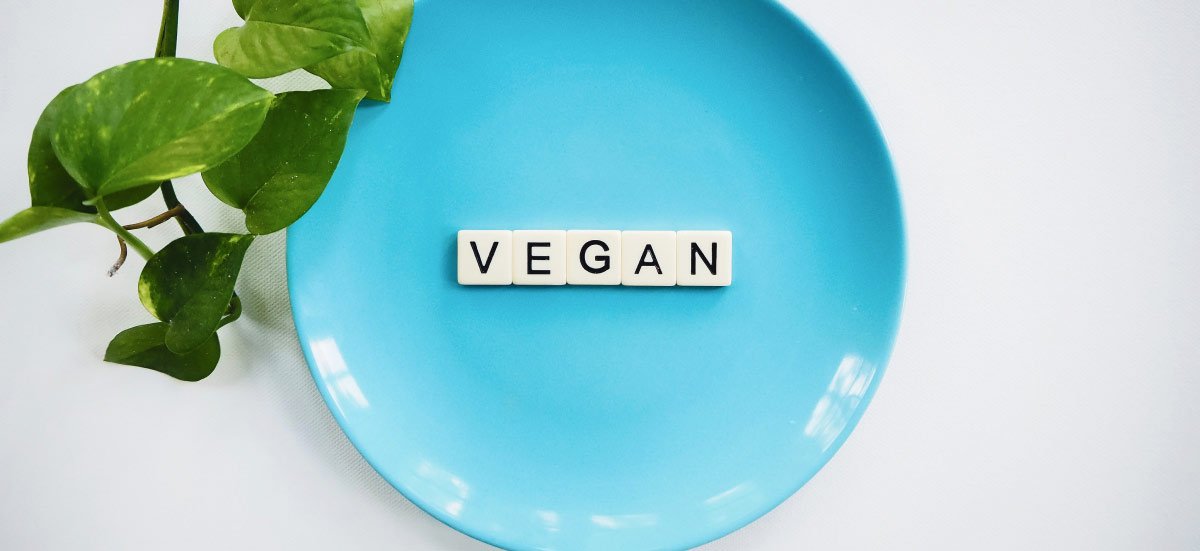 vegan letter blocks in blue plate vegan letter blocks in blue plate